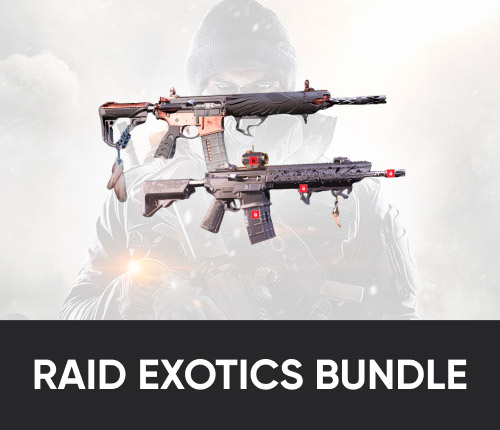 Raid Exotics Bundle